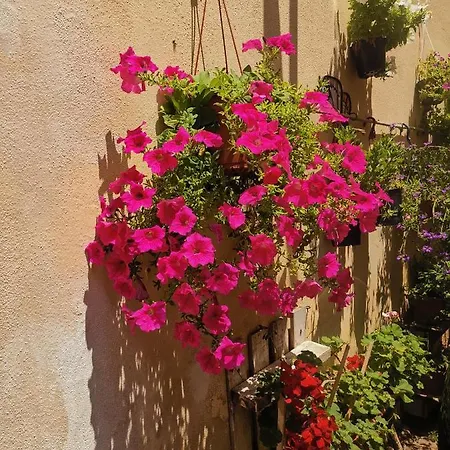 Vicolo Fiorito Apartment *